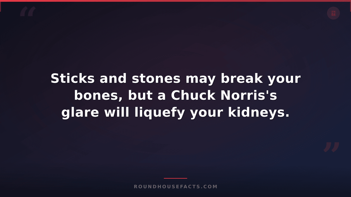 Chuck Norris Fact — Sticks and stones may break your bones, but a Chuck Norris's