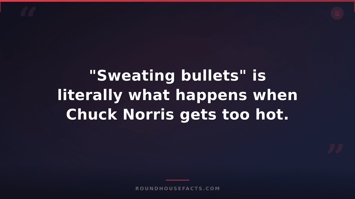 Chuck Norris Fact — "Sweating bullets" is literally what happens when Chuck Norr