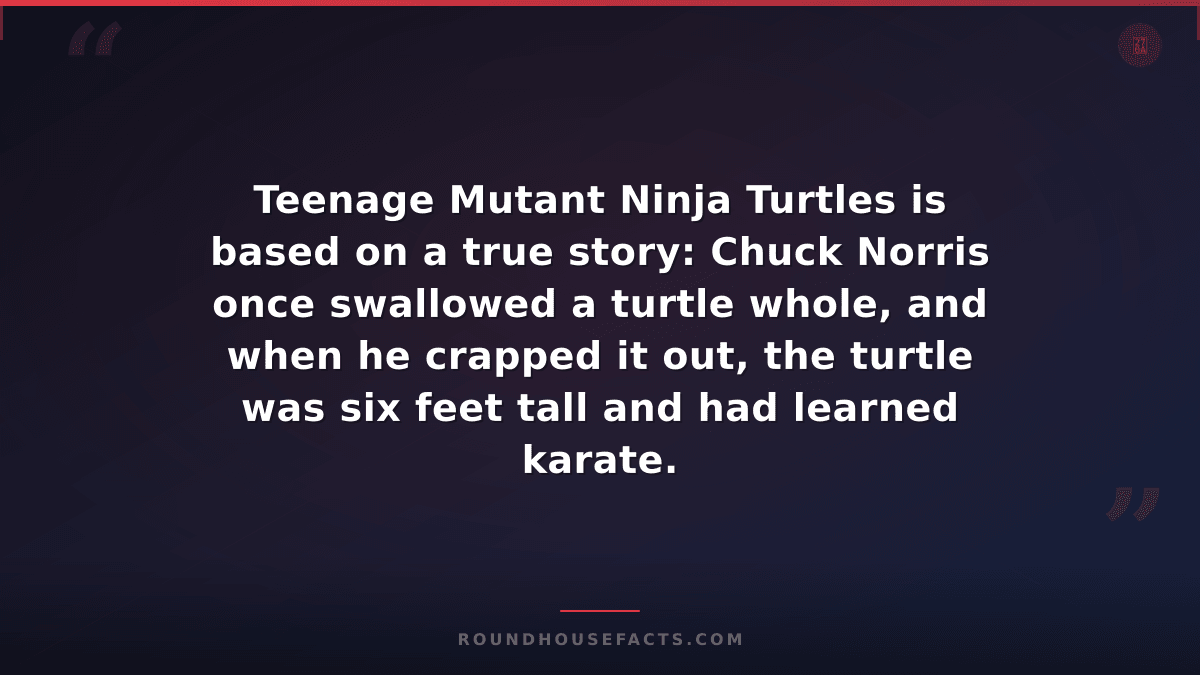 Chuck Norris Fact — Teenage Mutant Ninja Turtles is based on a true story: Chuck
