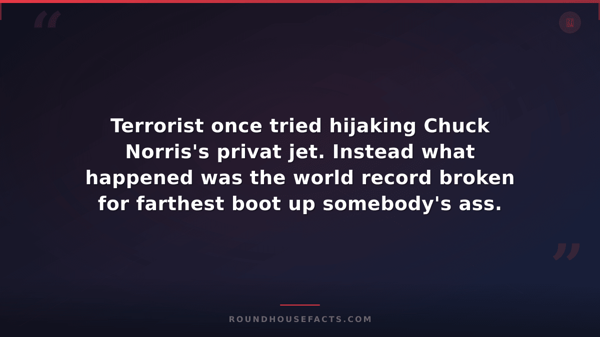 Chuck Norris Fact — Terrorist once tried hijaking Chuck Norris's privat jet. Ins