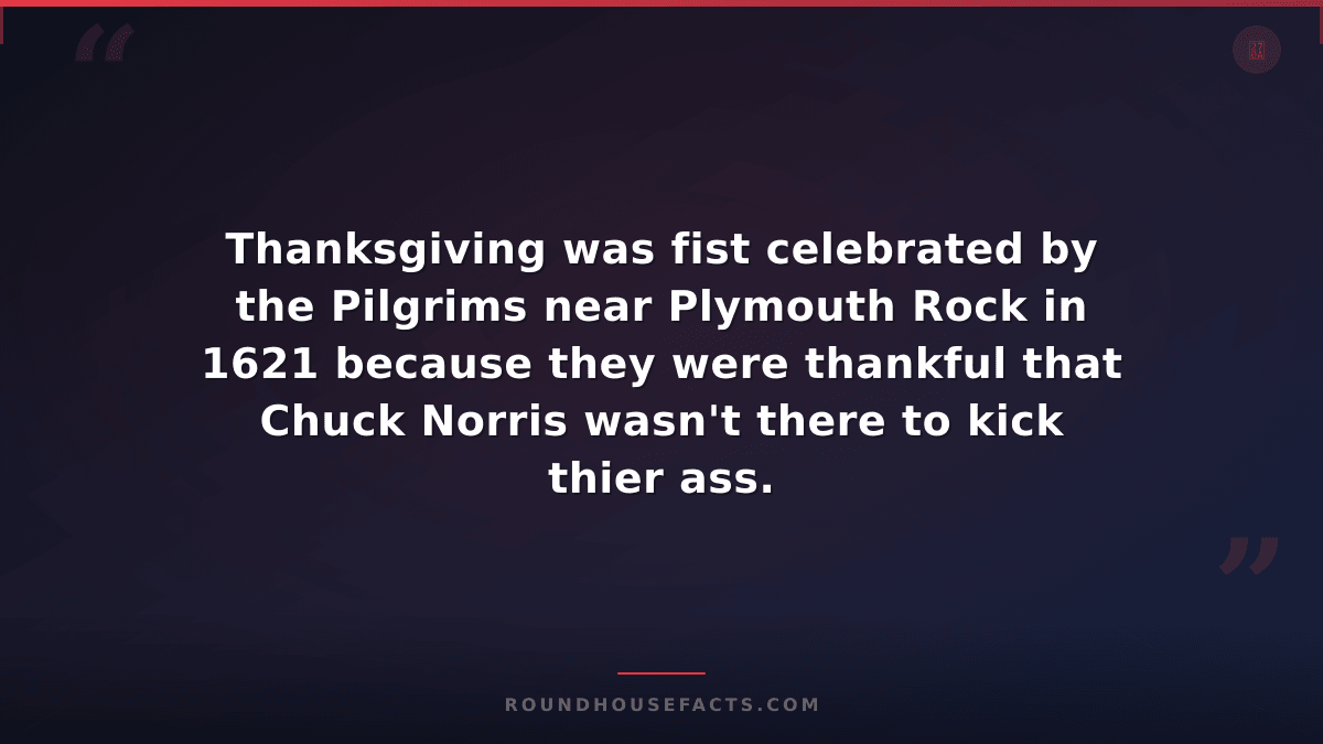 Chuck Norris Fact — Thanksgiving was fist celebrated by the Pilgrims near Plymou