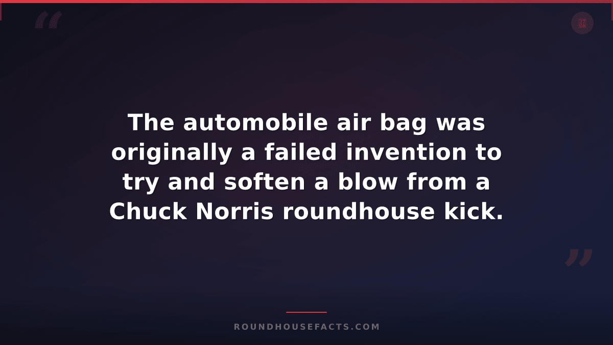 Chuck Norris Fact — The automobile air bag was originally a failed invention to