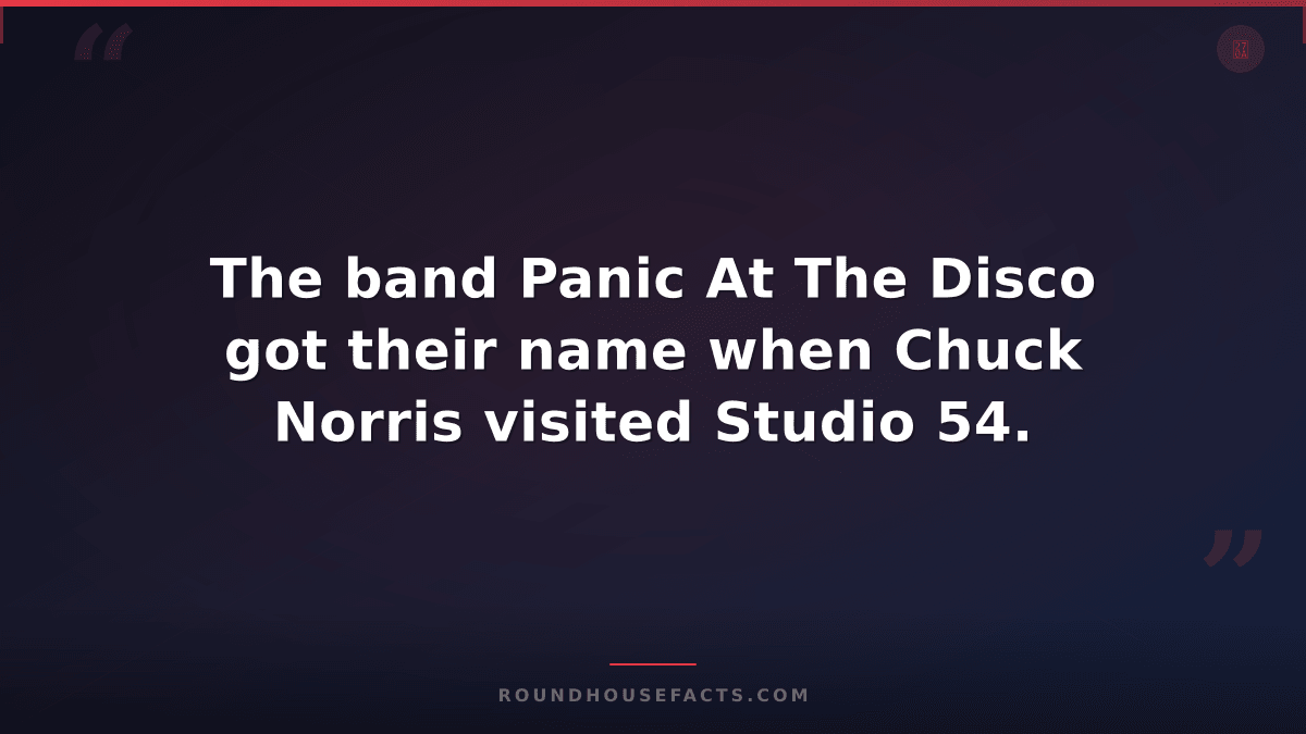 Chuck Norris Fact — The band Panic At The Disco got their name when Chuck Norris