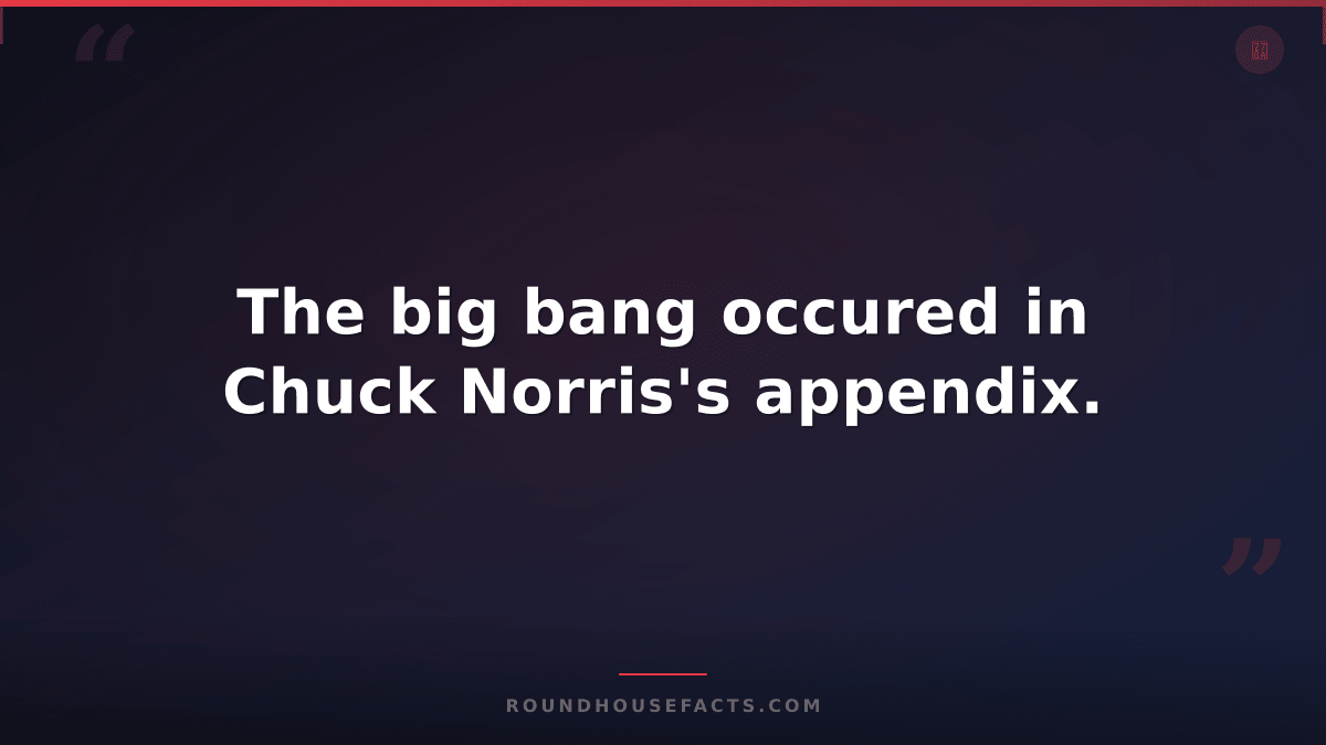 Chuck Norris Fact — The big bang occured in Chuck Norris's appendix.