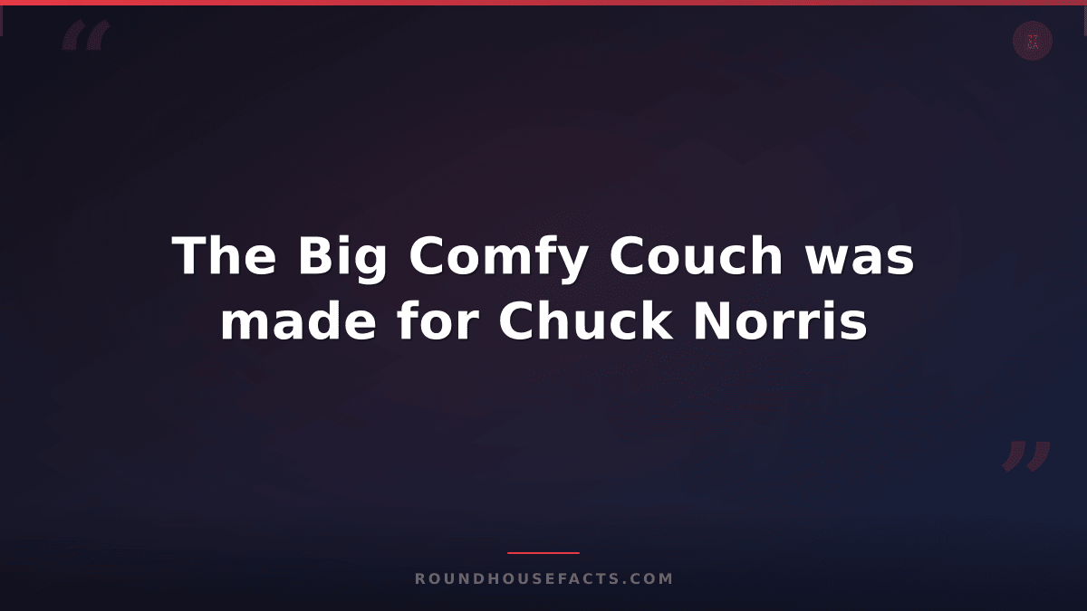 Chuck Norris Fact — The Big Comfy Couch was made for Chuck Norris