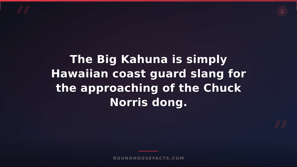 Chuck Norris Fact — The Big Kahuna is simply Hawaiian coast guard slang for the