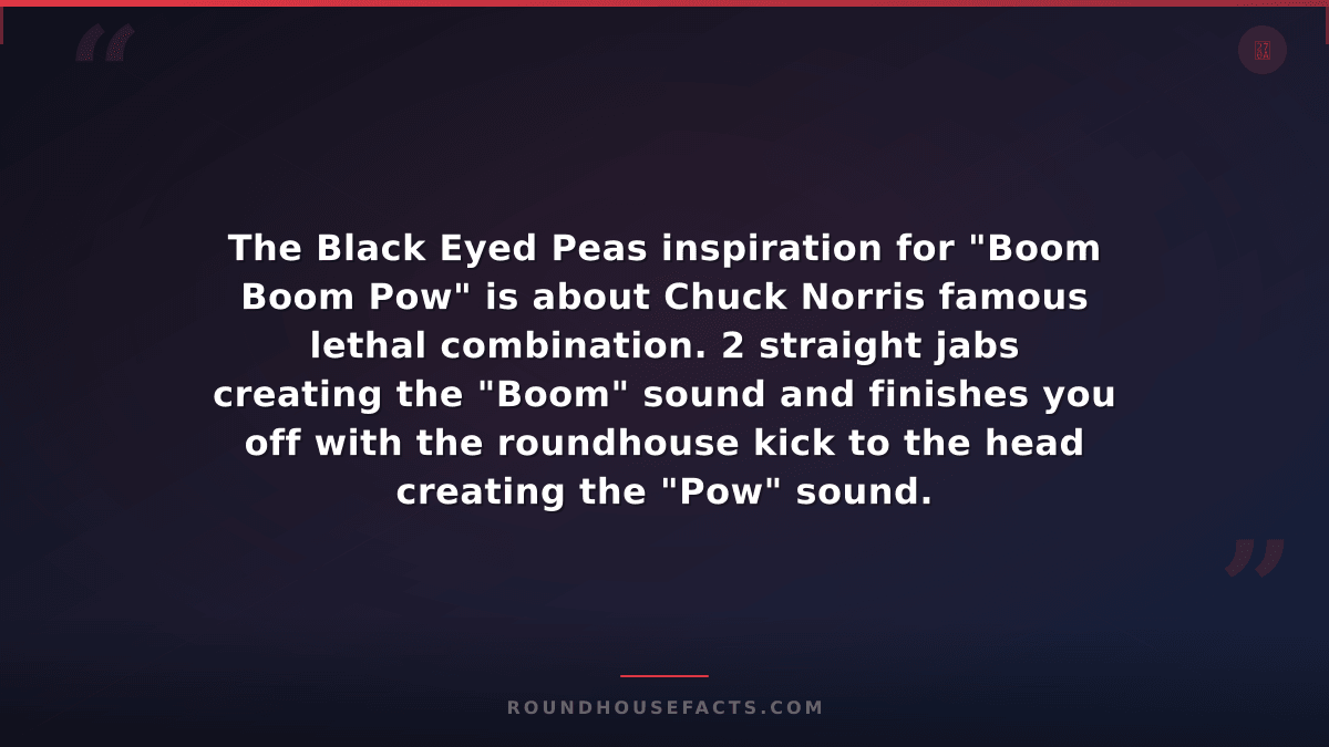 Chuck Norris Fact — The Black Eyed Peas inspiration for "Boom Boom Pow" is about