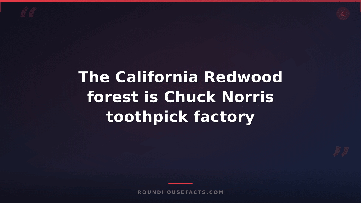 Chuck Norris Fact — The California Redwood forest is Chuck Norris toothpick fact
