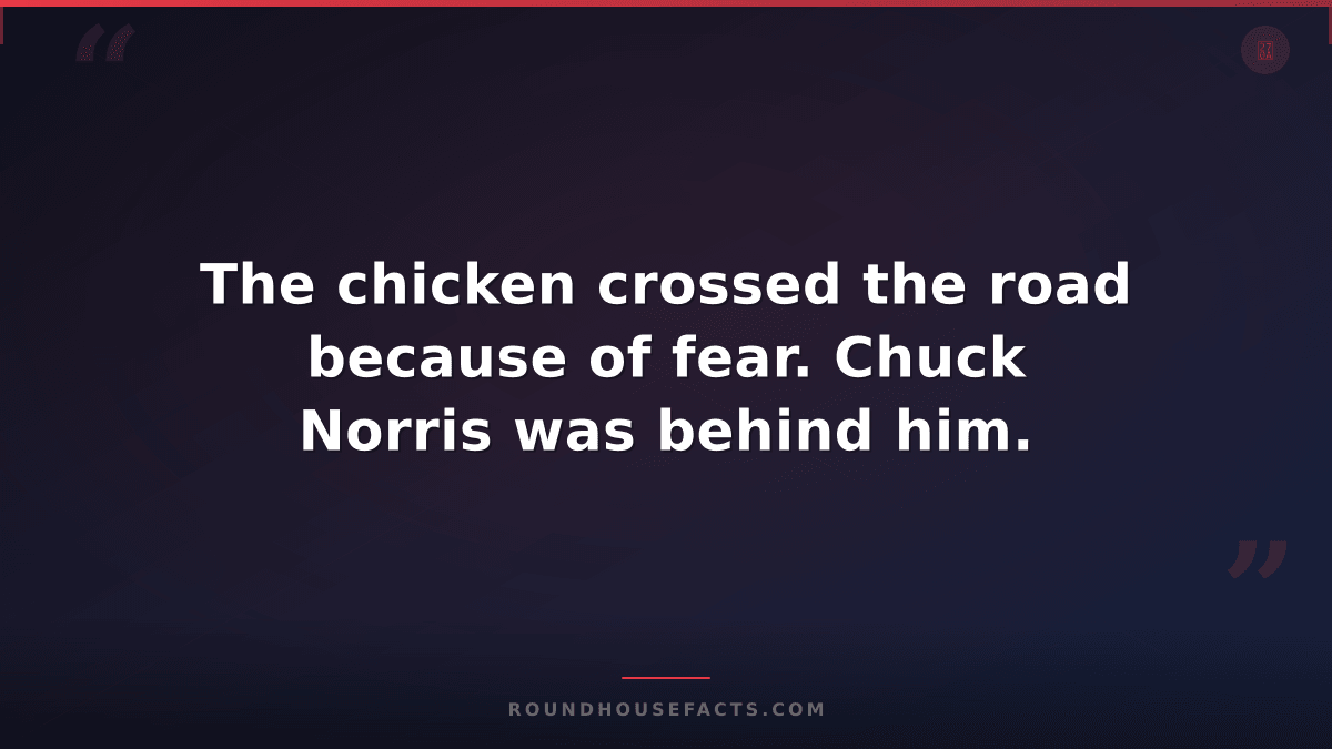 Chuck Norris Fact — The chicken crossed the road because of fear. Chuck Norris w