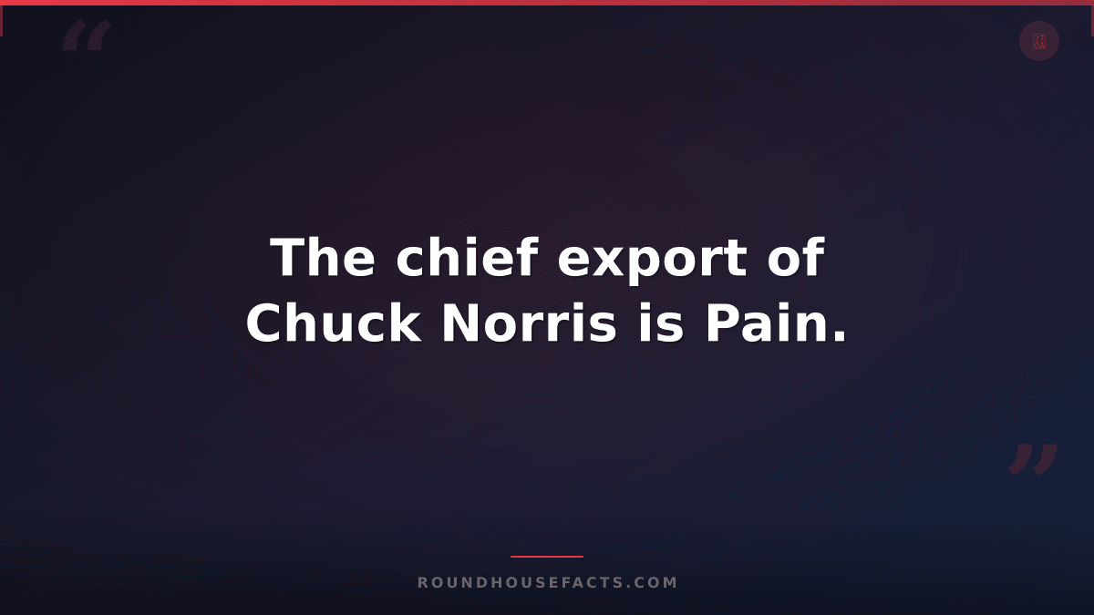 Chuck Norris Fact — The chief export of Chuck Norris is Pain.