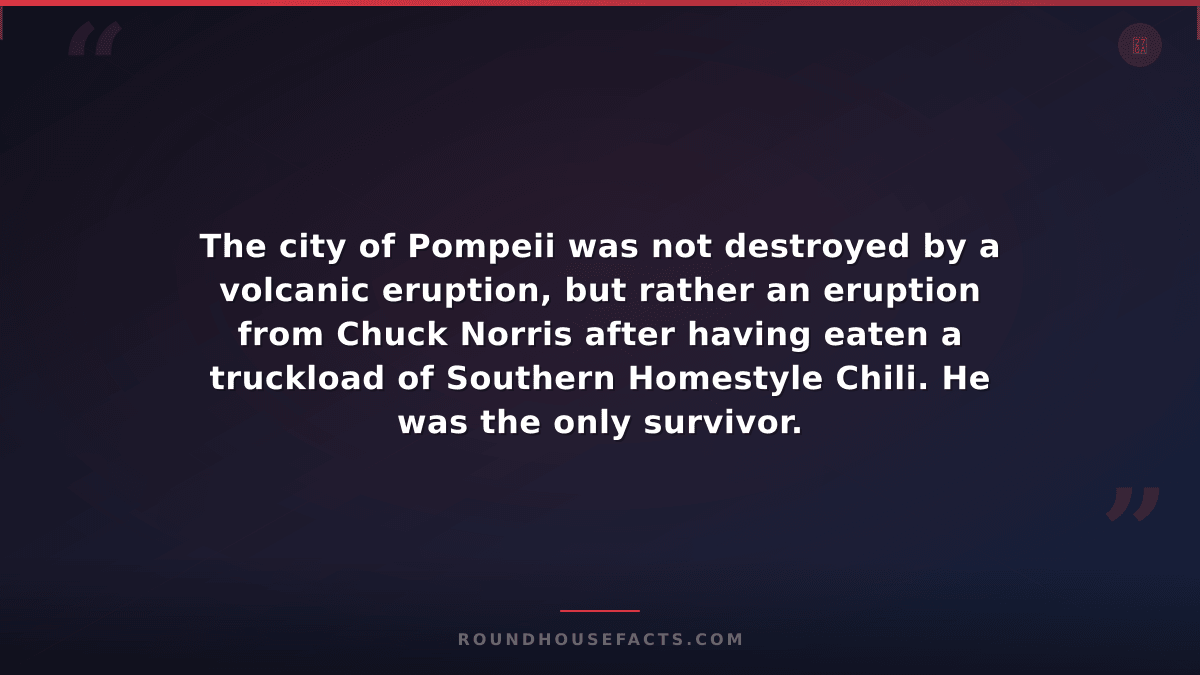 Chuck Norris Fact — The city of Pompeii was not destroyed by a volcanic eruption