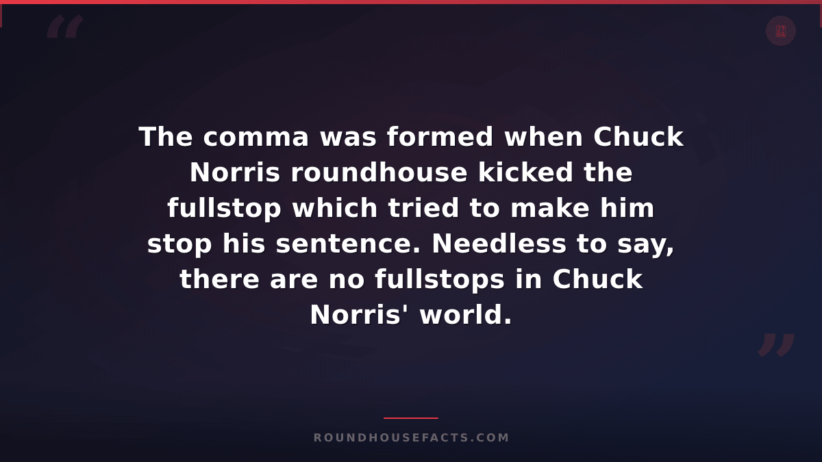 Chuck Norris Fact — The comma was formed when Chuck Norris roundhouse kicked the