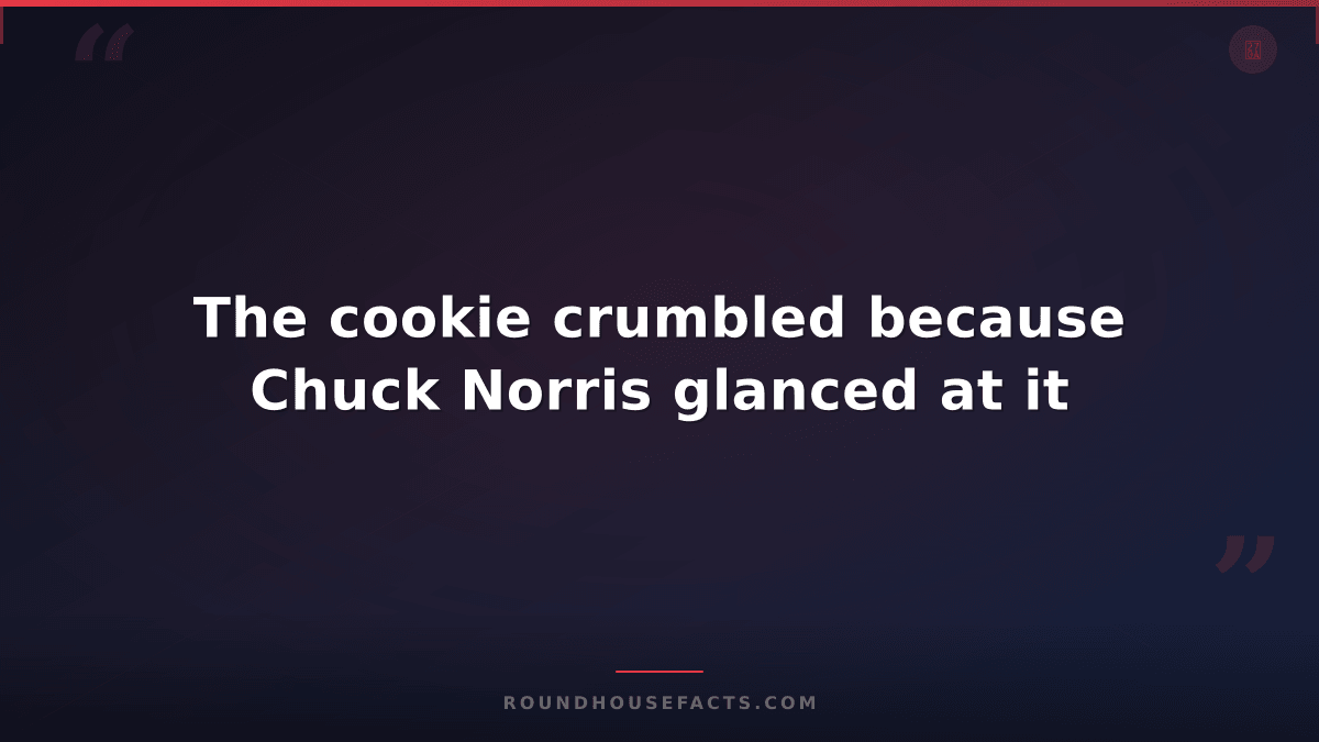 Chuck Norris Fact — The cookie crumbled because Chuck Norris glanced at it