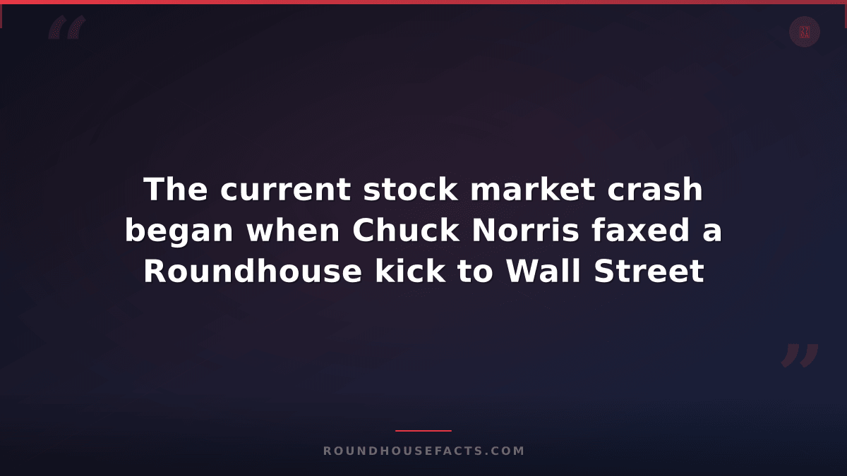 Chuck Norris Fact — The current stock market crash began when Chuck Norris faxed