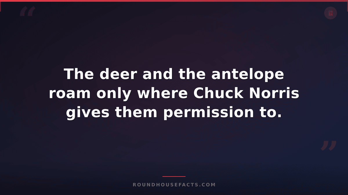 Chuck Norris Fact — The deer and the antelope roam only where Chuck Norris gives