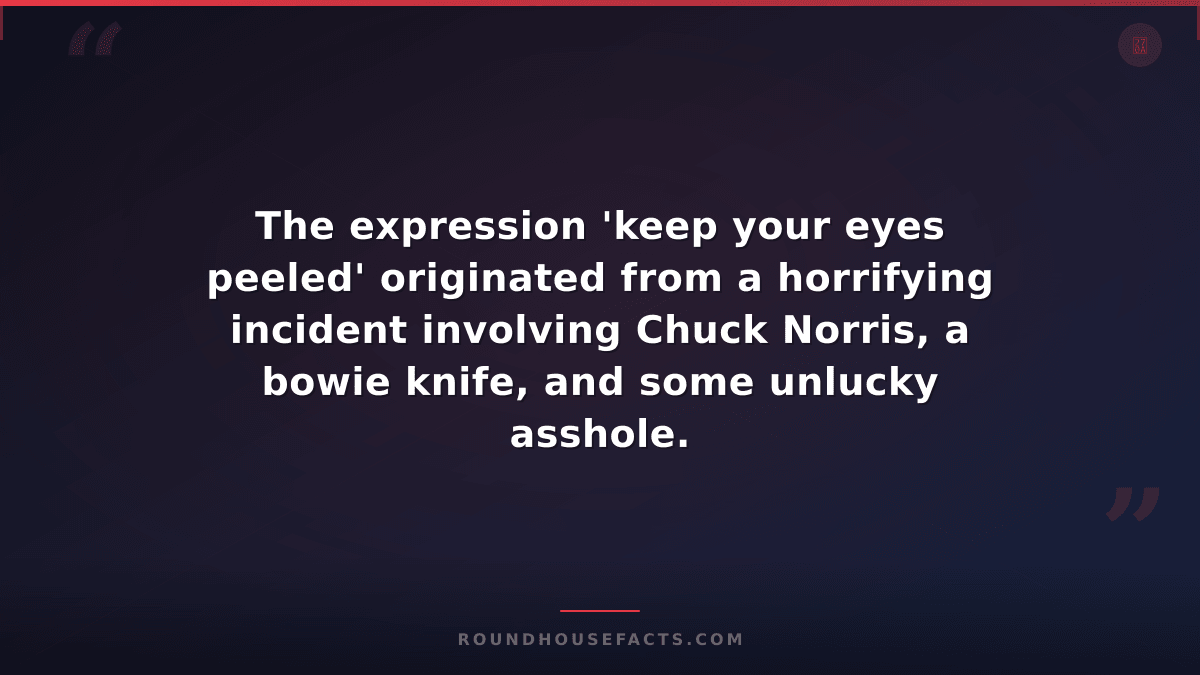 Chuck Norris Fact — The expression 'keep your eyes peeled' originated from a hor