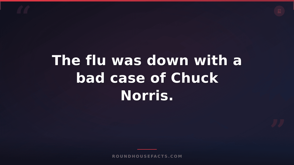 Chuck Norris Fact — The flu was down with a bad case of Chuck Norris.