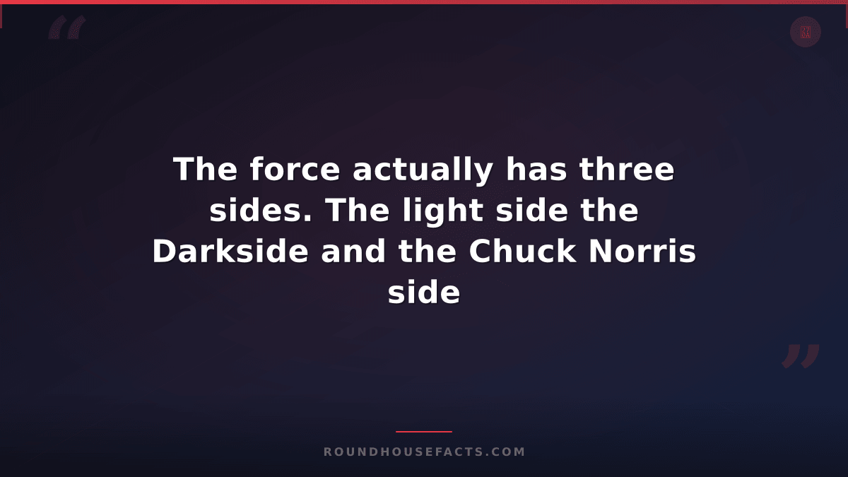 Chuck Norris Fact — The force actually has three sides. The light side the Darks