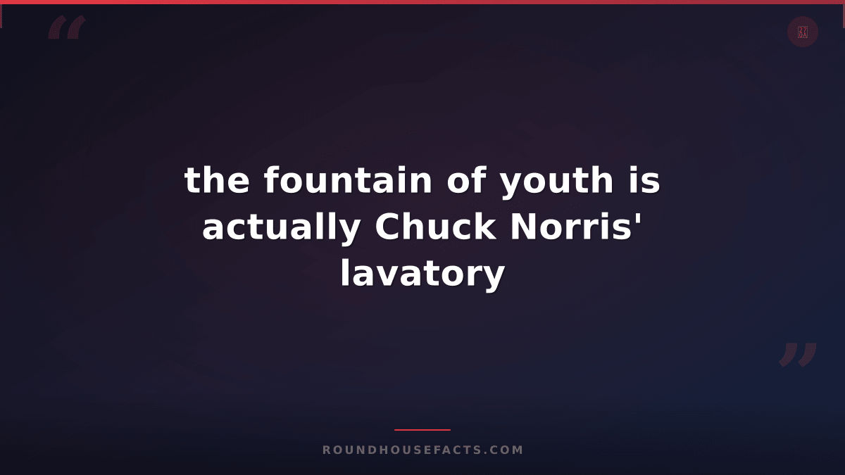 Chuck Norris Fact — the fountain of youth is actually Chuck Norris' lavatory