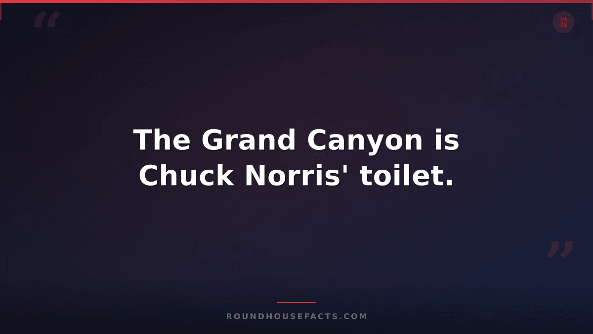 Chuck Norris Fact — The Grand Canyon is Chuck Norris' toilet.