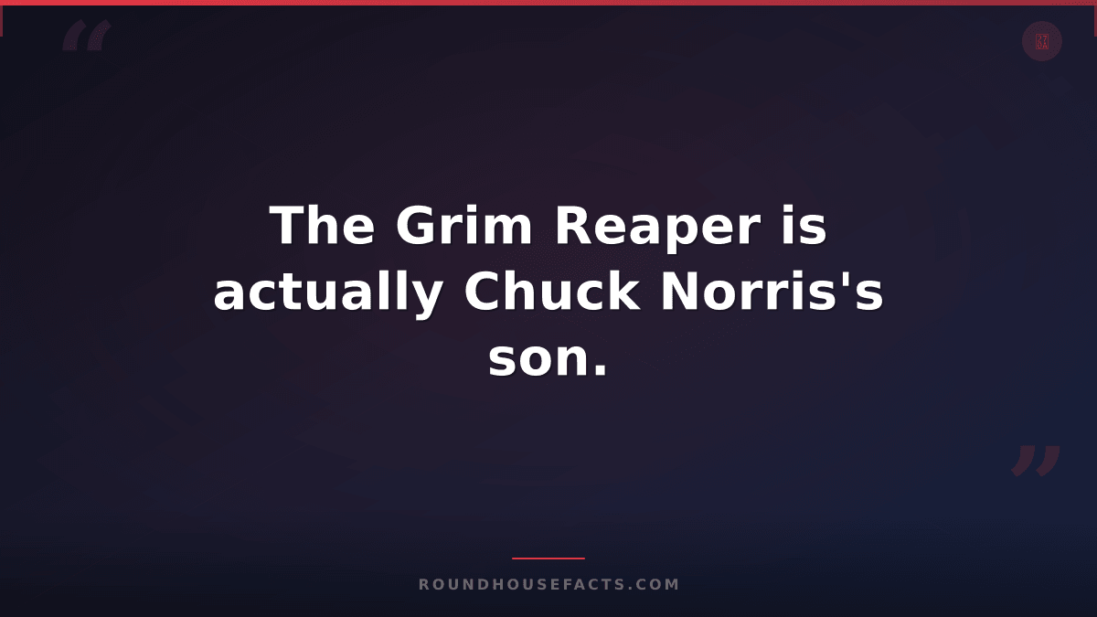 Chuck Norris Fact — The Grim Reaper is actually Chuck Norris's son.