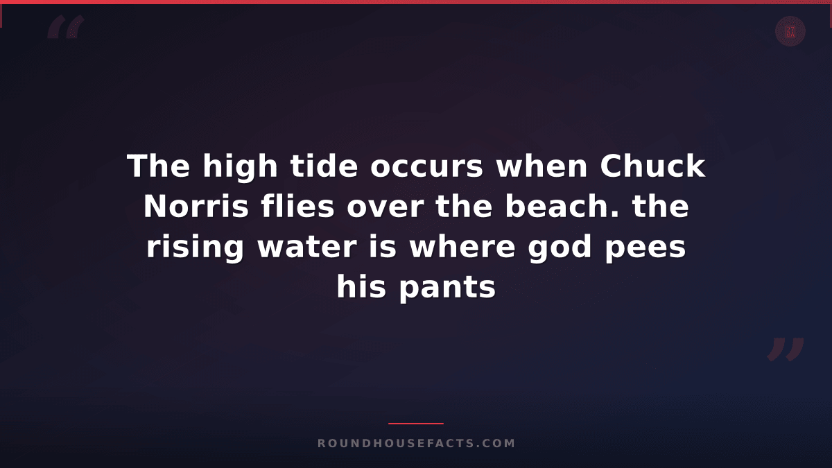 Chuck Norris Fact — The high tide occurs when Chuck Norris flies over the beach.