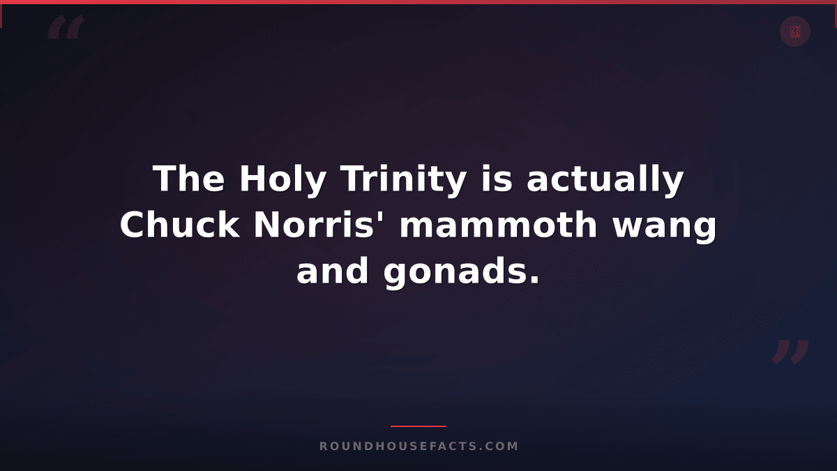 Chuck Norris Fact — The Holy Trinity is actually Chuck Norris' mammoth wang and