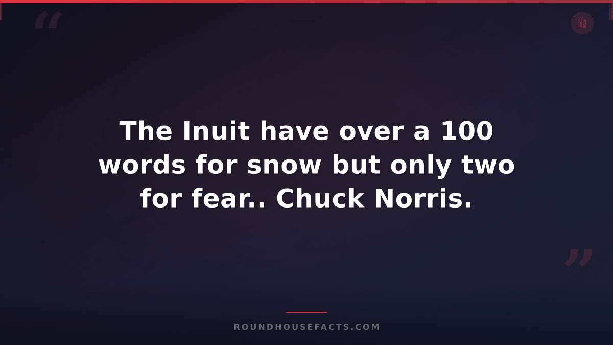 Chuck Norris Fact — The Inuit have over a 100 words for snow but only two for fe
