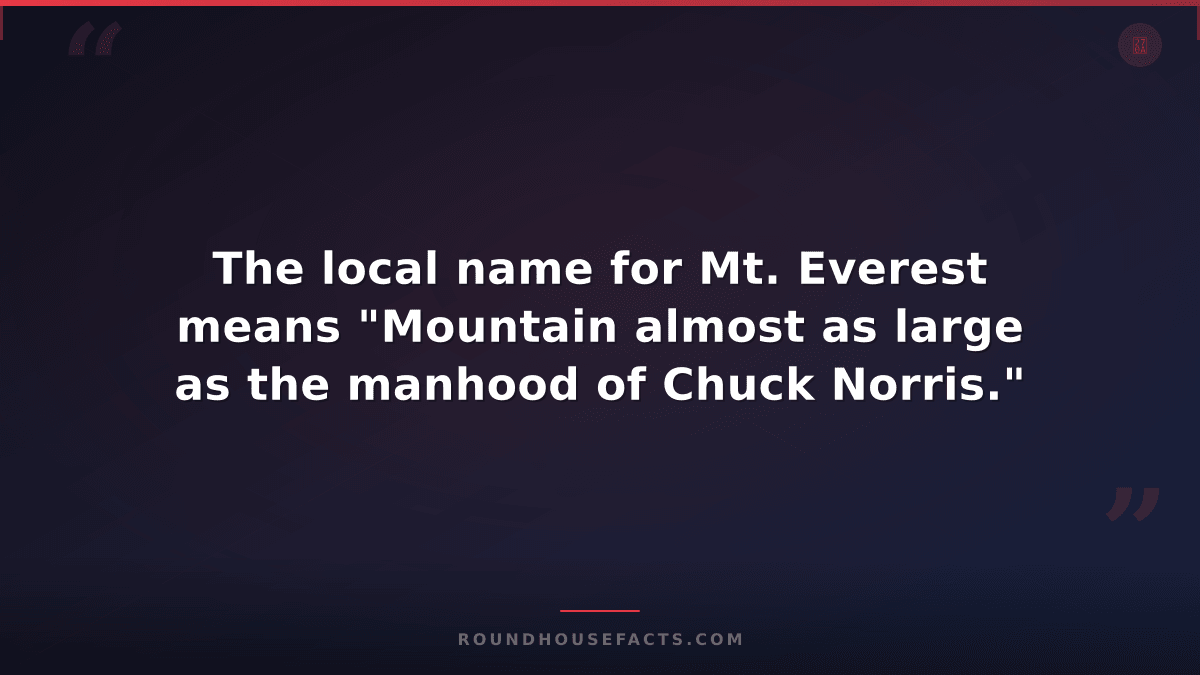 Chuck Norris Fact — The local name for Mt. Everest means "Mountain almost as lar
