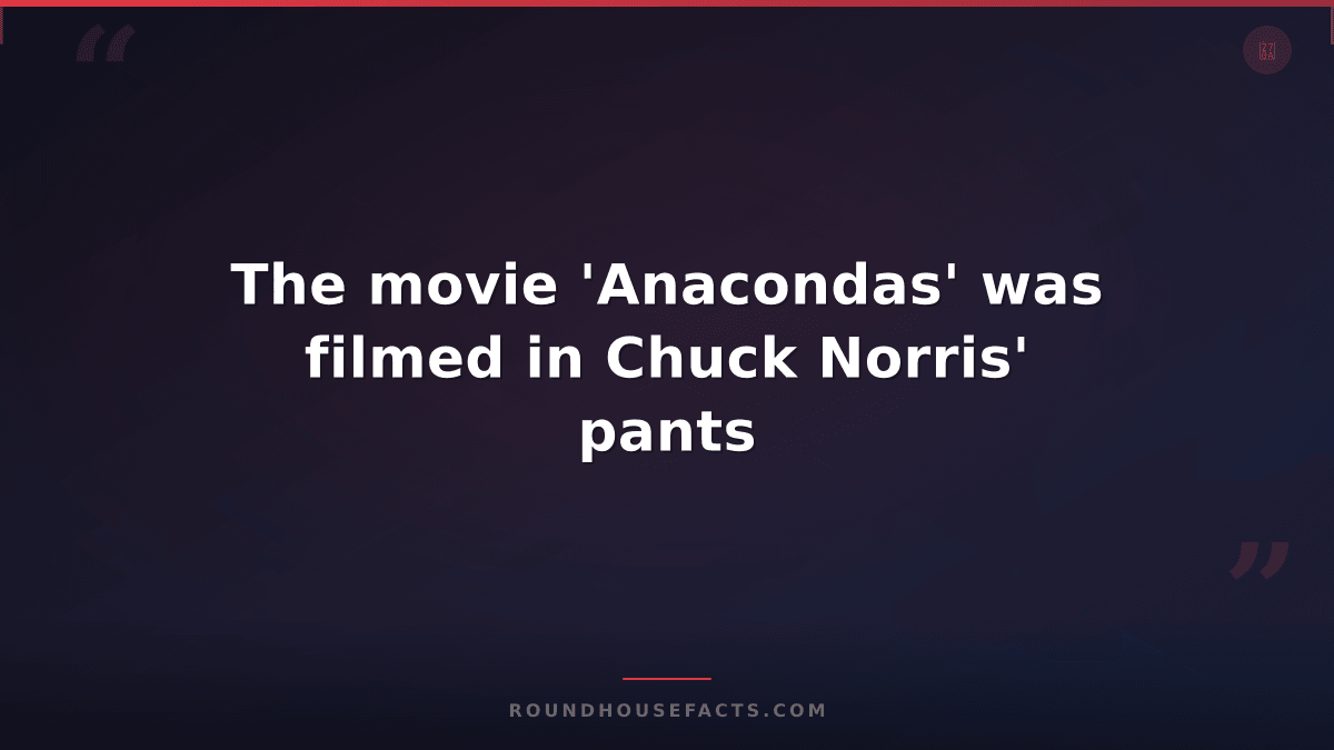 Chuck Norris Fact — The movie 'Anacondas' was filmed in Chuck Norris' pants