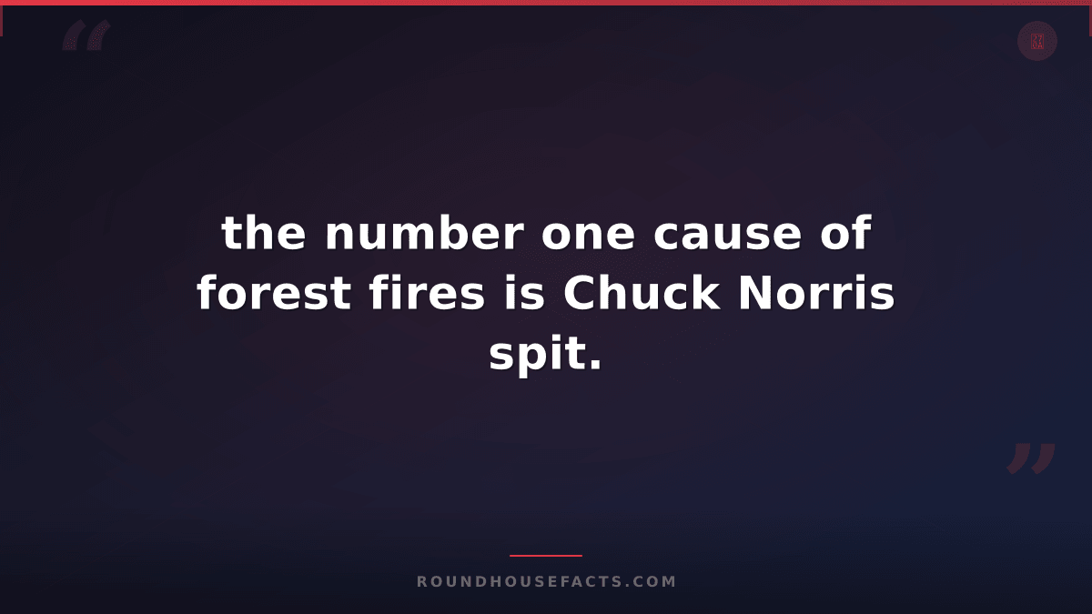 Chuck Norris Fact — the number one cause of forest fires is Chuck Norris spit.