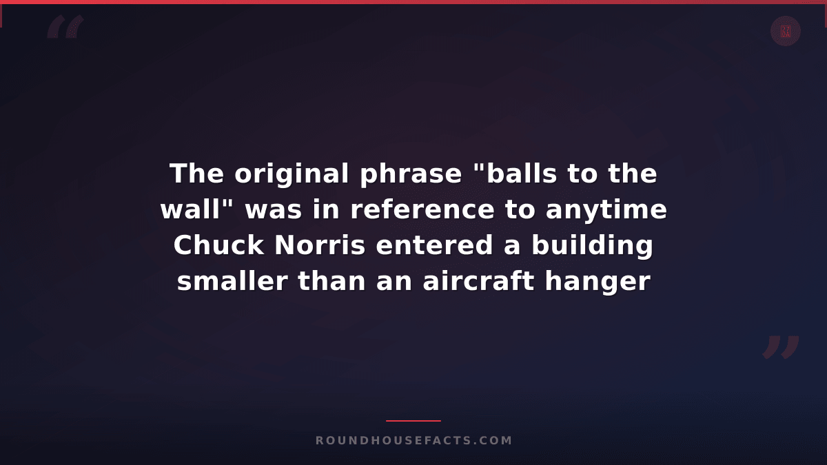 Chuck Norris Fact — The original phrase "balls to the wall" was in reference to