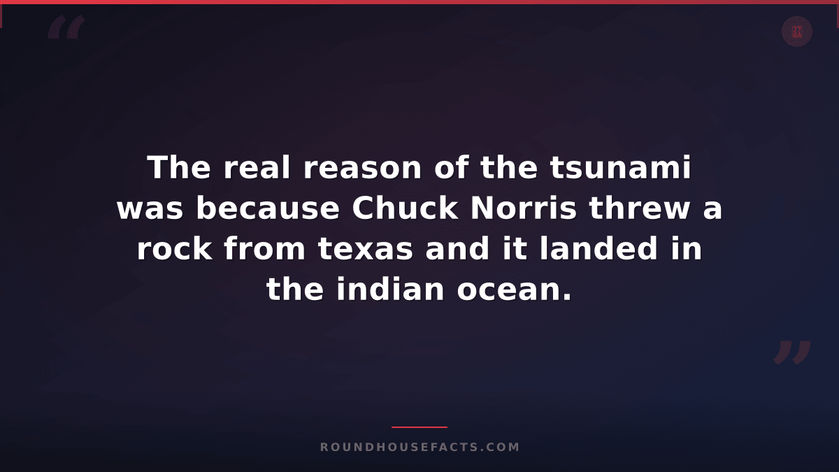 Chuck Norris Fact — The real reason of the tsunami was because Chuck Norris thre