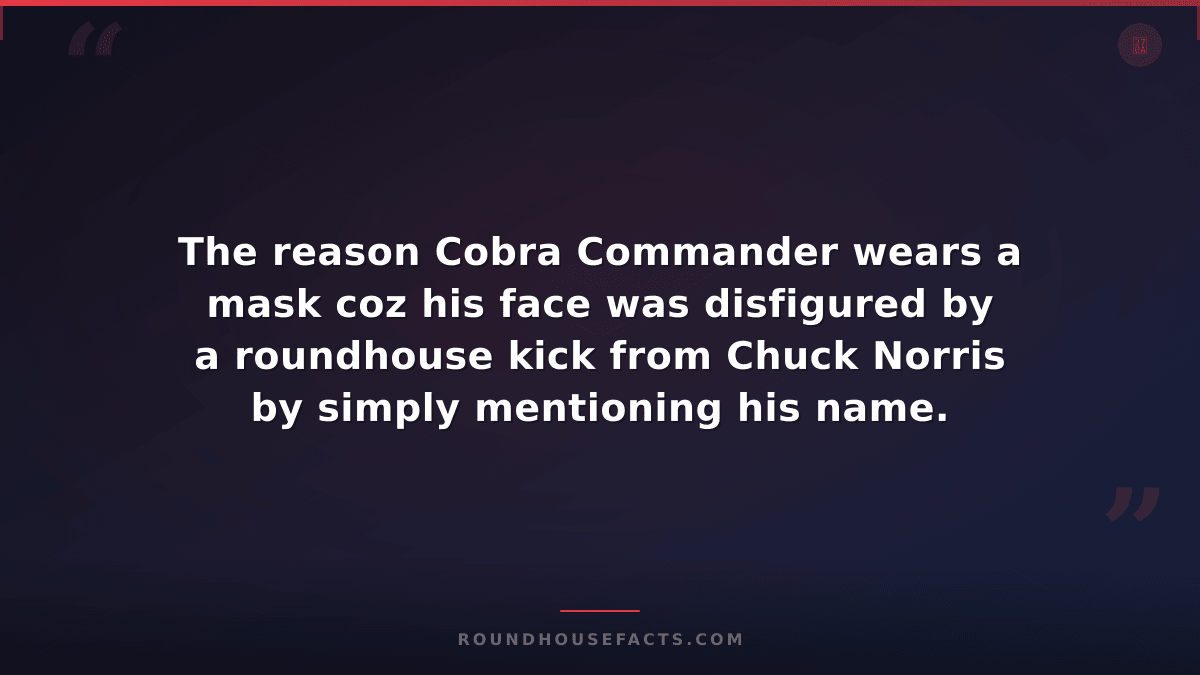 Chuck Norris Fact — The reason Cobra Commander wears a mask coz his face was dis