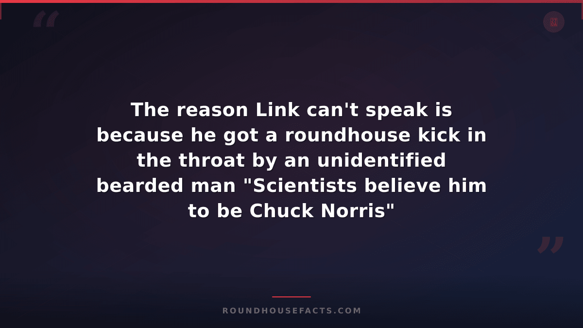 Chuck Norris Fact — The reason Link can't speak is because he got a roundhouse k