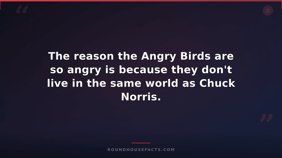 Chuck Norris Fact — The reason the Angry Birds are so angry is because they don'