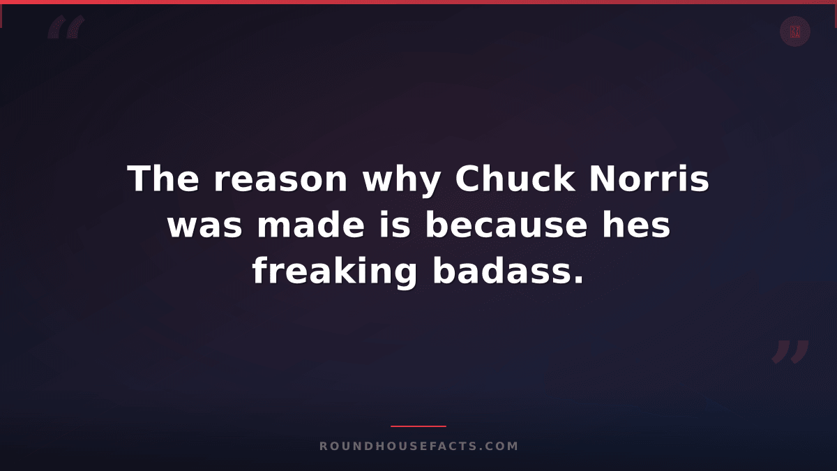 Chuck Norris Fact — The reason why Chuck Norris was made is because hes freaking