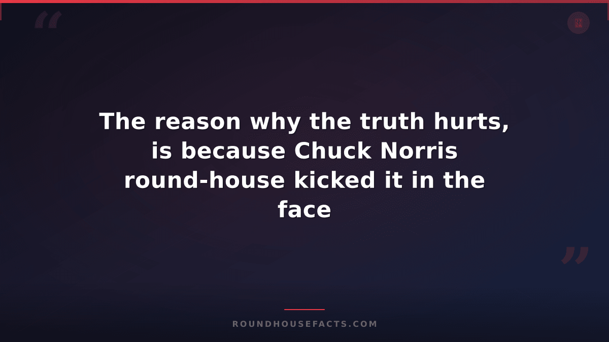 Chuck Norris Fact — The reason why the truth hurts, is because Chuck Norris roun
