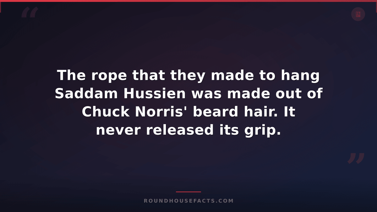 Chuck Norris Fact — The rope that they made to hang Saddam Hussien was made out