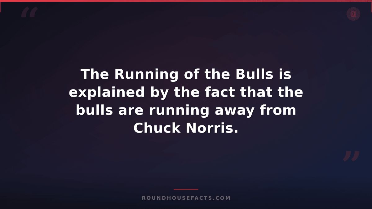 Chuck Norris Fact — The Running of the Bulls is explained by the fact that the b