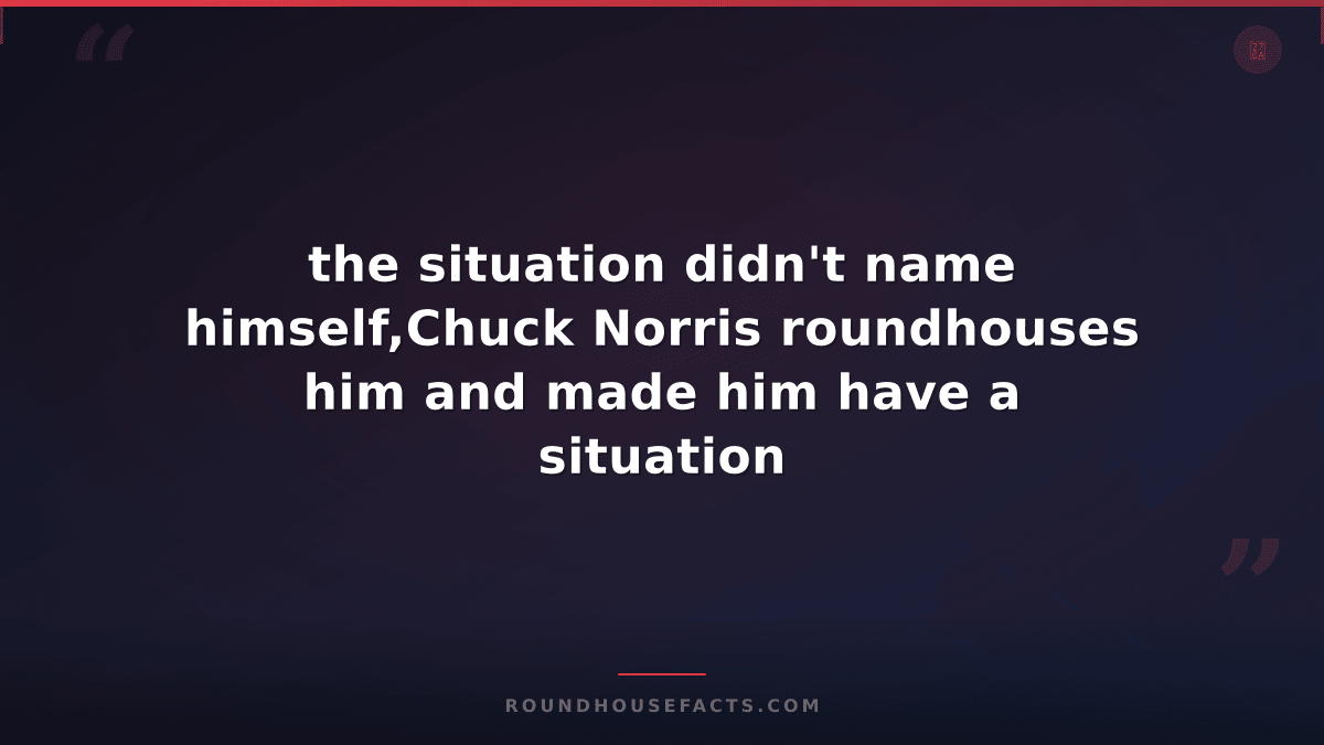 Chuck Norris Fact — the situation didn't name himself,Chuck Norris roundhouses h