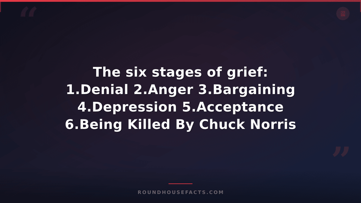 Chuck Norris Fact — The six stages of grief: 1.Denial 2.Anger 3.Bargaining 4.Dep