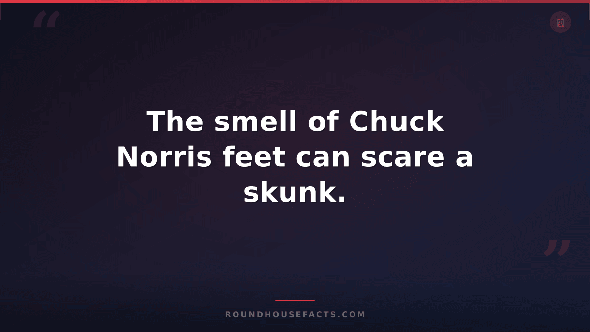Chuck Norris Fact — The smell of Chuck Norris feet can scare a skunk.