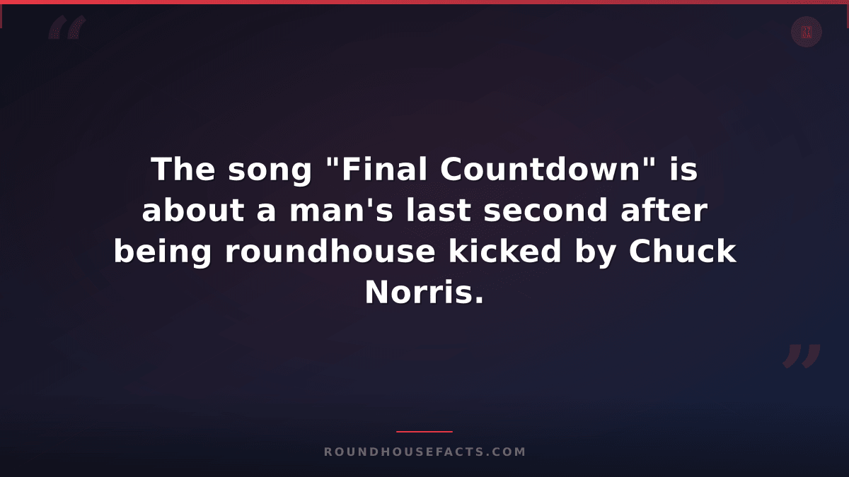 Chuck Norris Fact — The song "Final Countdown" is about a man's last second afte