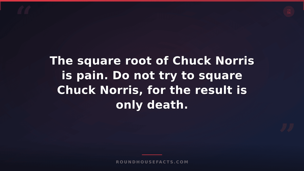 Chuck Norris Fact — The square root of Chuck Norris is pain. Do not try to squar