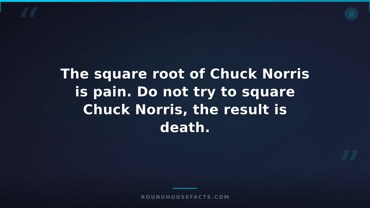 Chuck Norris Fact — The square root of Chuck Norris is pain. Do not try to squar