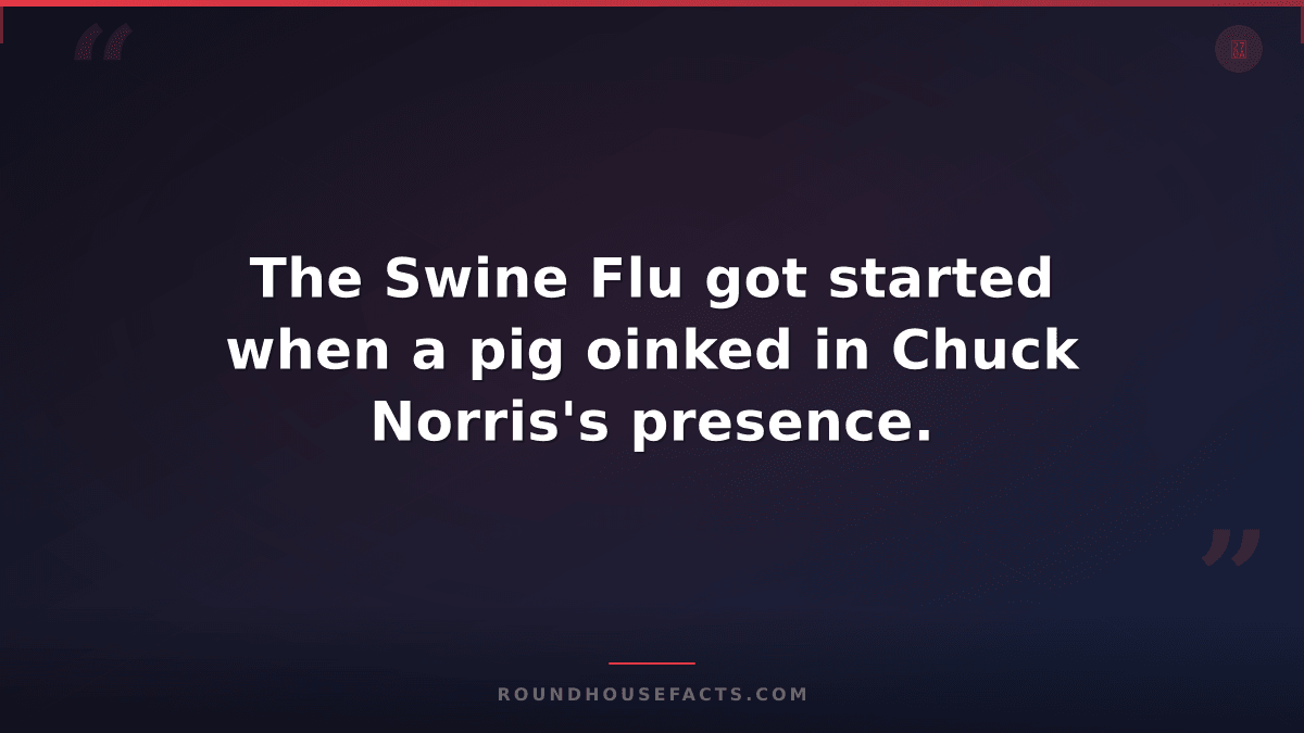 Chuck Norris Fact — The Swine Flu got started when a pig oinked in Chuck Norris'