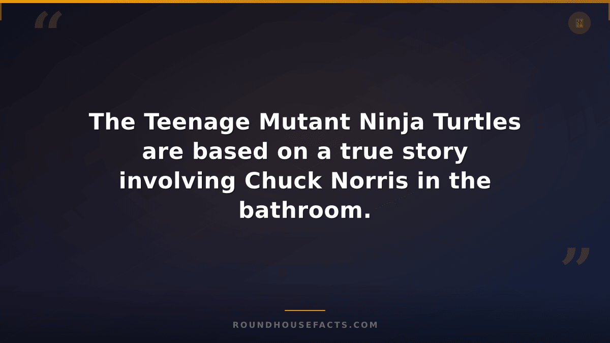 Chuck Norris Fact — The Teenage Mutant Ninja Turtles are based on a true story i
