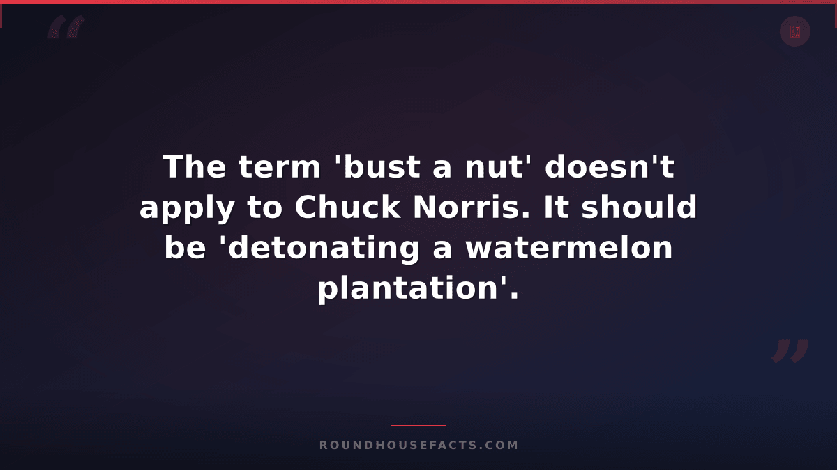 Chuck Norris Fact — The term 'bust a nut' doesn't apply to Chuck Norris. It shou