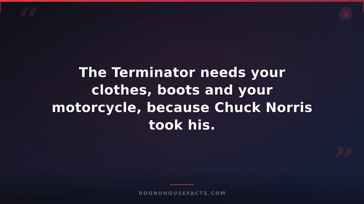 Chuck Norris Fact — The Terminator needs your clothes, boots and your motorcycle